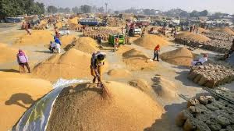 15 नवंबर से होगी धान खरीदी, कलेक्टरों को धान खरीदी की तैयारियां करने के निर्देश